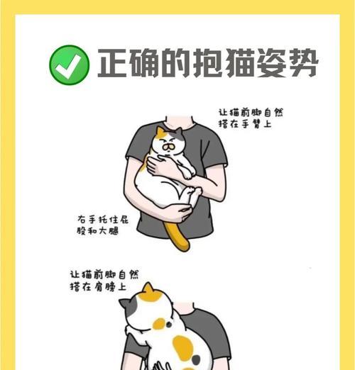 50天小猫能独立生活吗？如何正确抱养小猫？