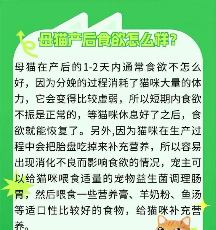 母猫吃小猫的原因及处理方法是什么？如何预防？