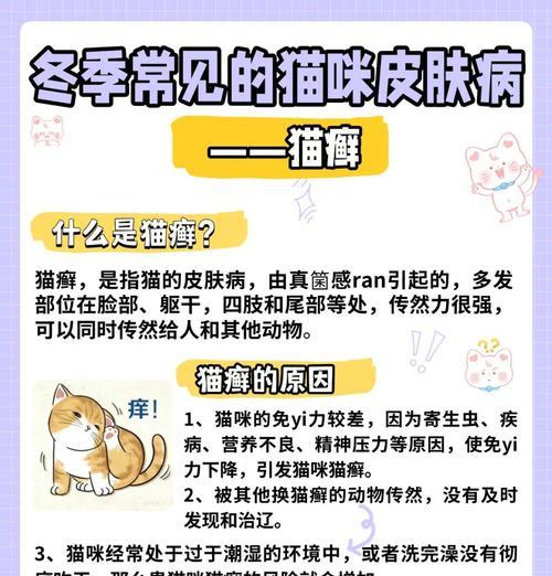 猫癣对人有生命危险吗？如何预防和治疗？