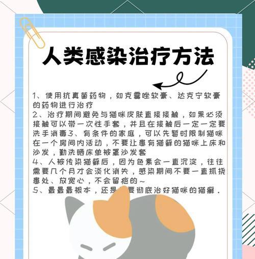 猫癣对人有生命危险吗？如何预防和治疗？