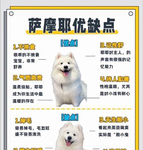 小狗狗耳朵向后卷是什么原因？有何影响？