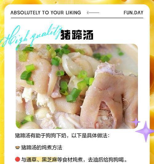 给狗狗做鸡汤有哪些步骤？