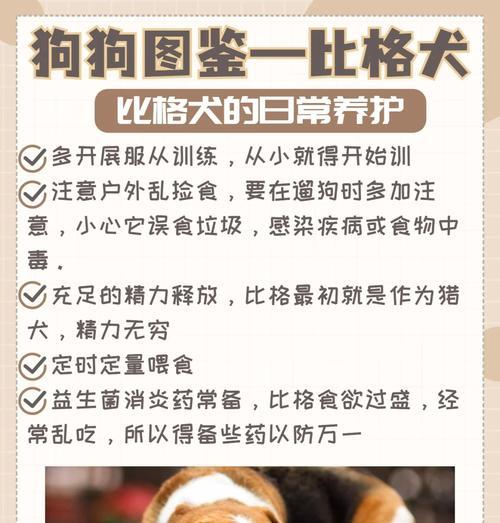 比格犬有哪些优点和缺点？比格犬适合什么样的家庭？