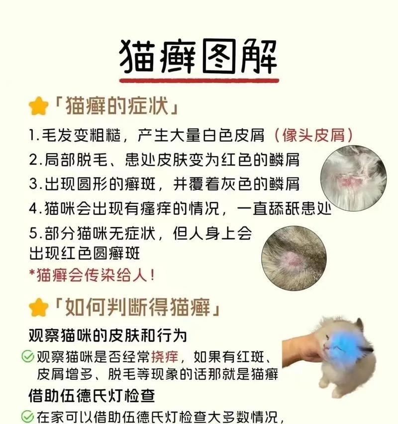 猫咪患有猫癣会有哪些症状？如何治疗和预防？