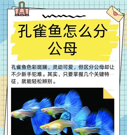 孔雀鱼为何会攻击其他鱼？如何避免？