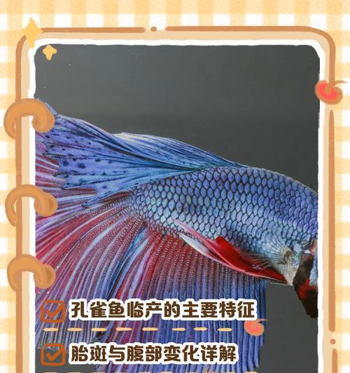 孔雀鱼为何会攻击其他鱼？如何避免？