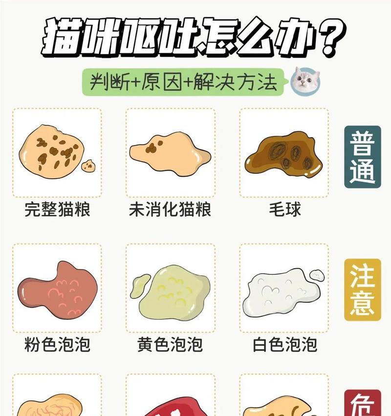 猫咪呕吐是什么原因？有哪些有效的处理方法？