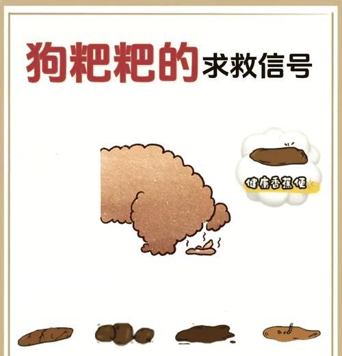 小狗排泄白色粪便的原因是什么？