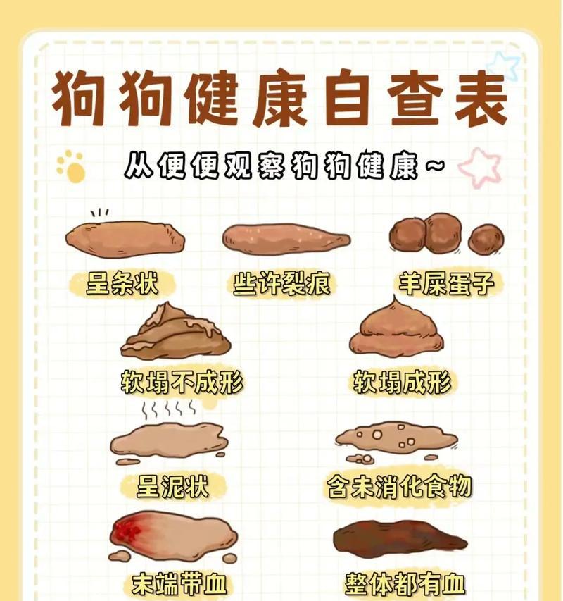 小狗排泄白色粪便的原因是什么？