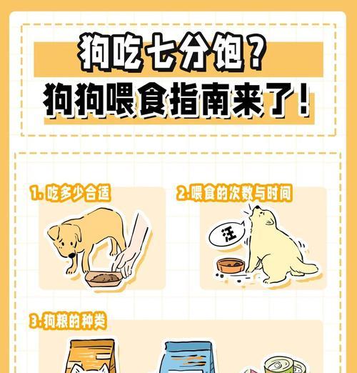 刚出生的小狗应该吃什么？如何喂养？