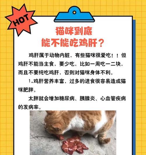猫咪吃鸡肝死亡有哪些征兆？