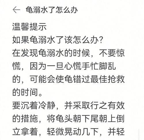 乌龟不幸死亡后应该如何处理？有哪些注意事项？