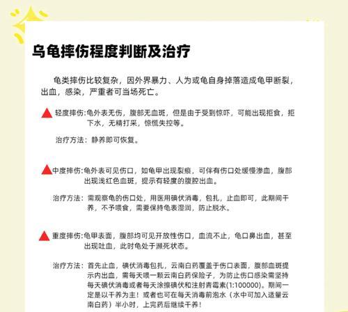 乌龟不幸死亡后应该如何处理？有哪些注意事项？