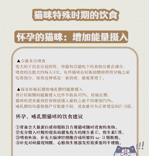 猫咪怀孕了应该注意些什么？如何照顾？