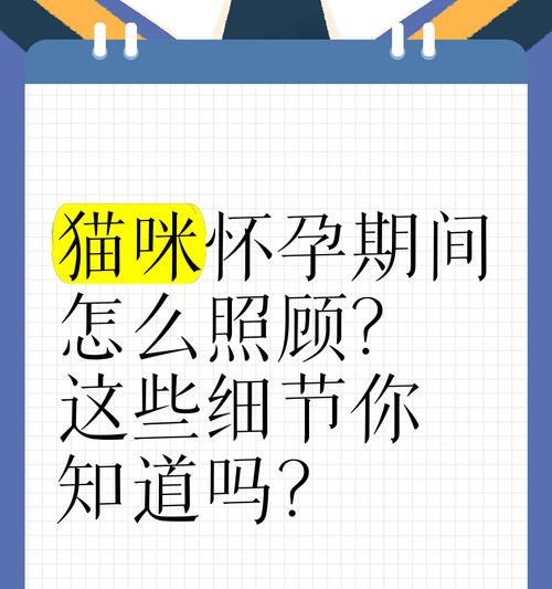 猫咪怀孕了应该注意些什么？如何照顾？