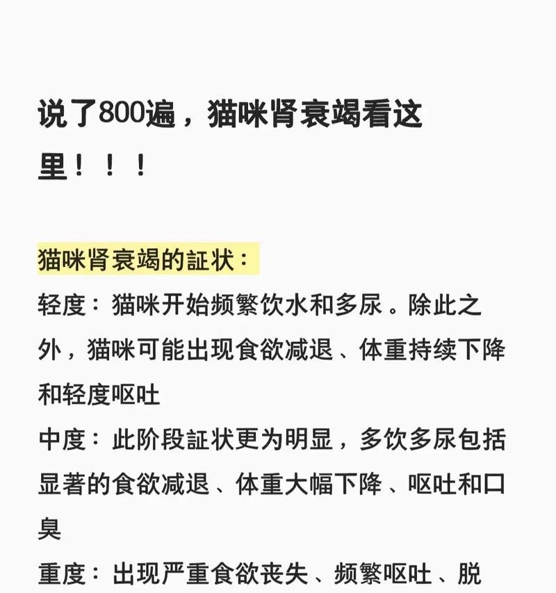 暹罗猫肾衰竭能活多久？如何护理？