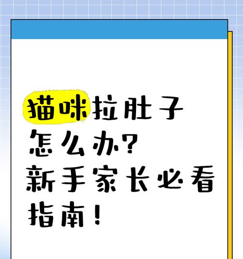 幼猫吃罐头后拉稀怎么办？可能的原因及解决办法是什么？