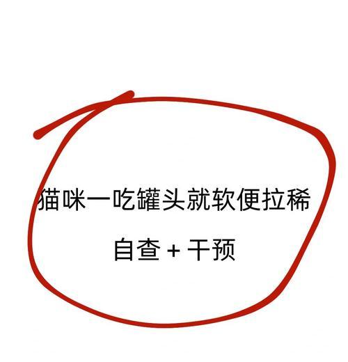 幼猫吃罐头后拉稀怎么办？可能的原因及解决办法是什么？