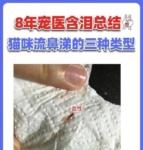 猫咪流鼻涕会传染给其他猫咪吗？