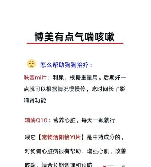 狗狗出现哮喘症状是什么原因？如何缓解？