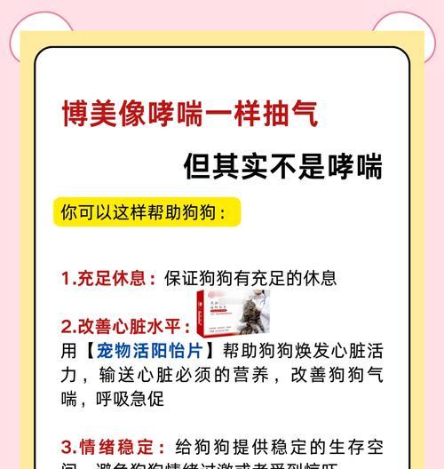 狗狗出现哮喘症状是什么原因？如何缓解？