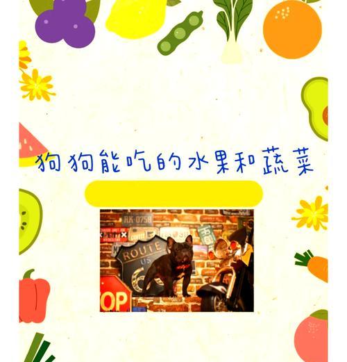 狗狗能吃哪些水果？有哪些水果对狗狗有益？