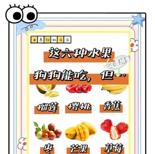 狗狗能吃哪些水果？有哪些水果对狗狗有益？