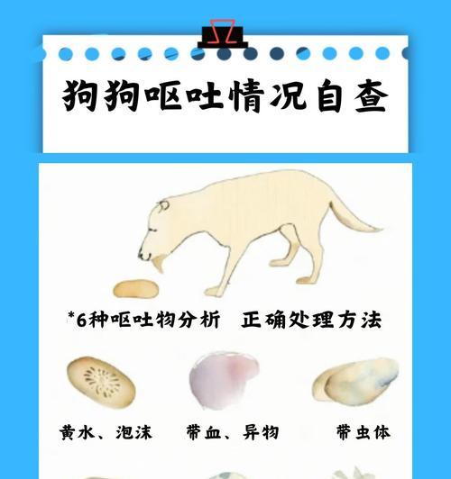 小狗出生一个月吐了怎么办？新生小狗呕吐的可能原因及处理方法？