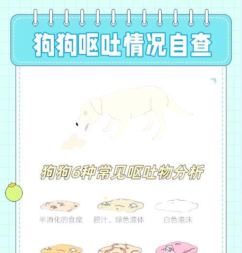 小狗出生一个月吐了怎么办？新生小狗呕吐的可能原因及处理方法？