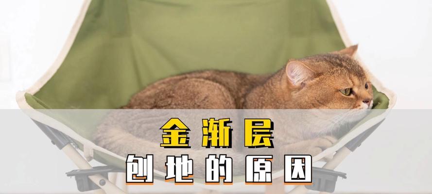 猫咪为什么会在食盆旁刨地？这种行为代表什么含义？