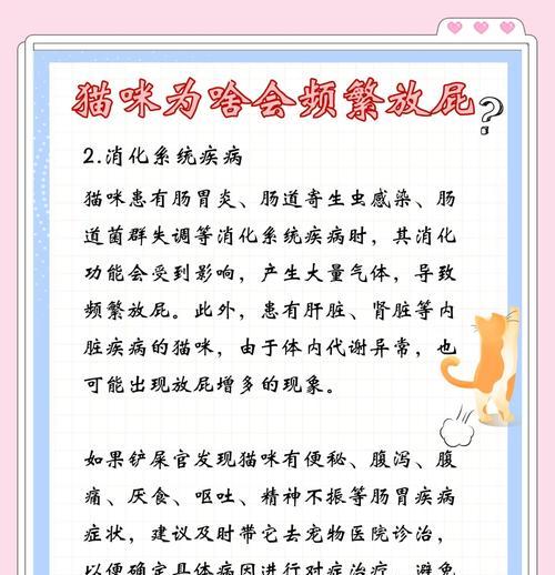 猫咪放屁拉肚子是为什么？三大原因是什么？