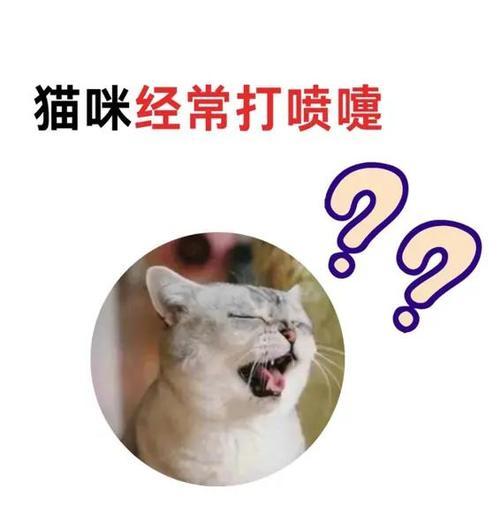 猫咪一直打喷嚏怎么办啊？可能的原因和解决办法是什么？