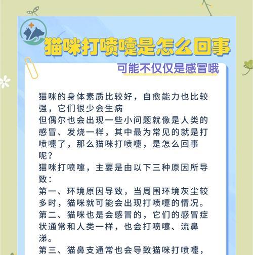猫咪一直打喷嚏怎么办啊？可能的原因和解决办法是什么？