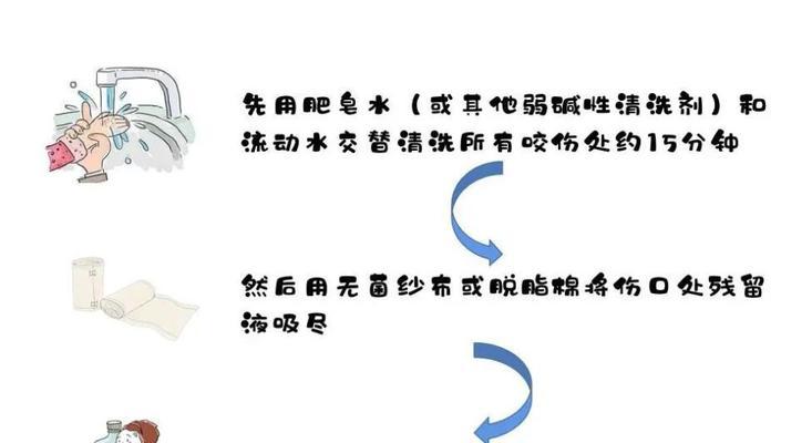狗咬伤后伤口处理方法是什么？如何预防感染？