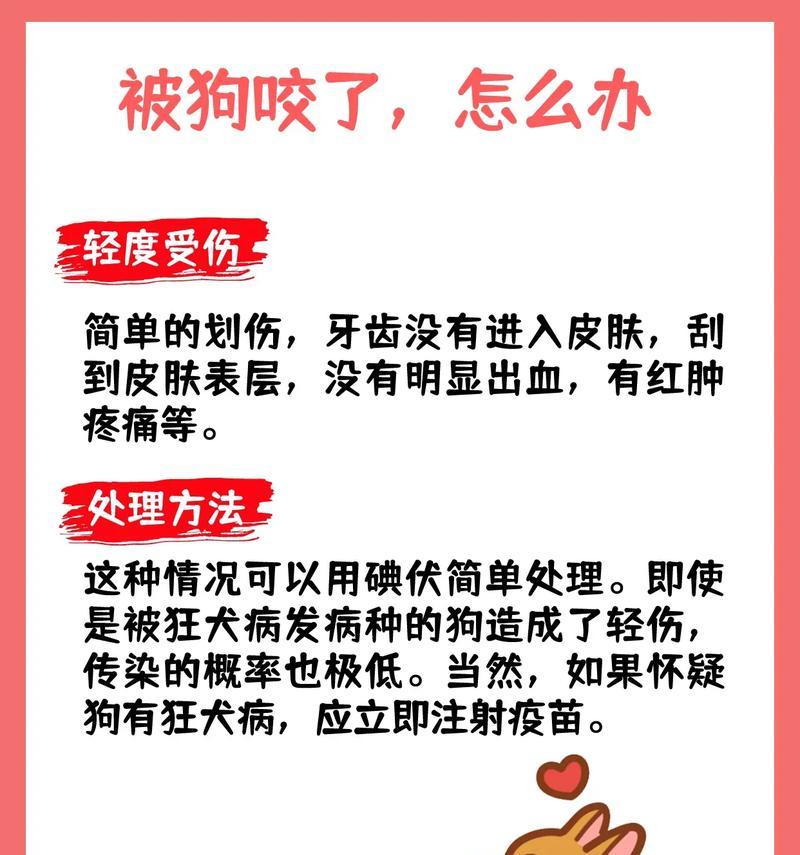 狗咬伤后伤口处理方法是什么？如何预防感染？