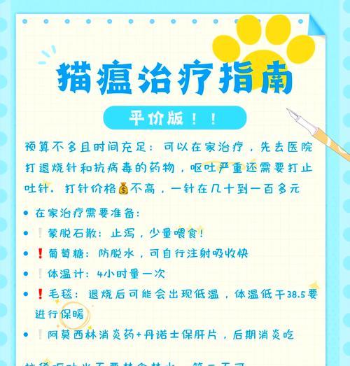 猫瘟的治愈率有多高？有哪些有效的治疗方法？