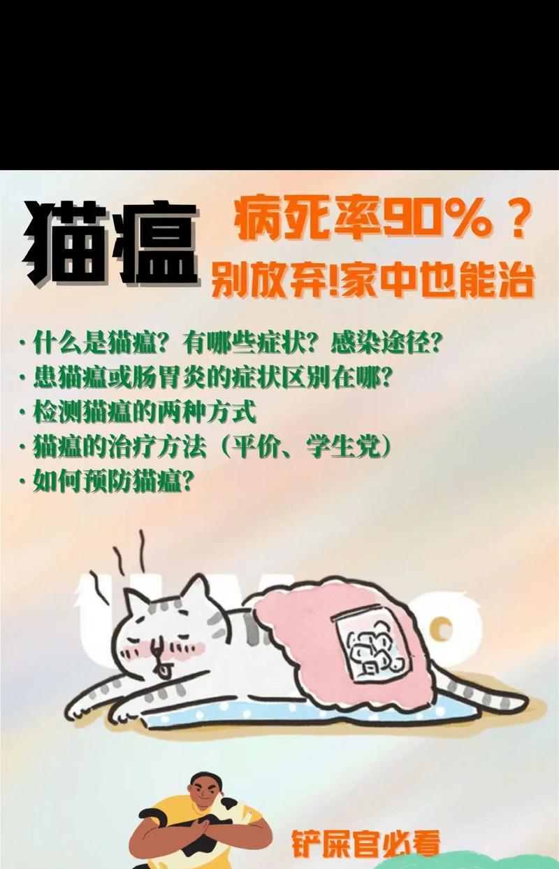 猫瘟的治愈率有多高？有哪些有效的治疗方法？
