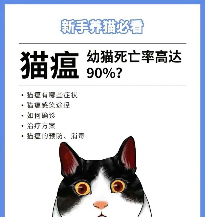 猫瘟的治愈率有多高？有哪些有效的治疗方法？