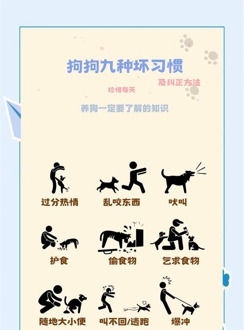 如何安全地与狗狗互动以避免被咬？