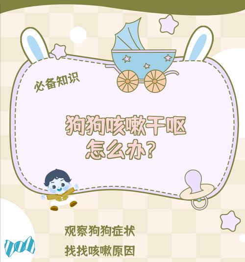 狗狗干咳干呕咔的长期护理需要注意什么？