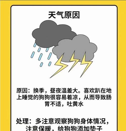 狗狗吐黄水可能预示着什么？