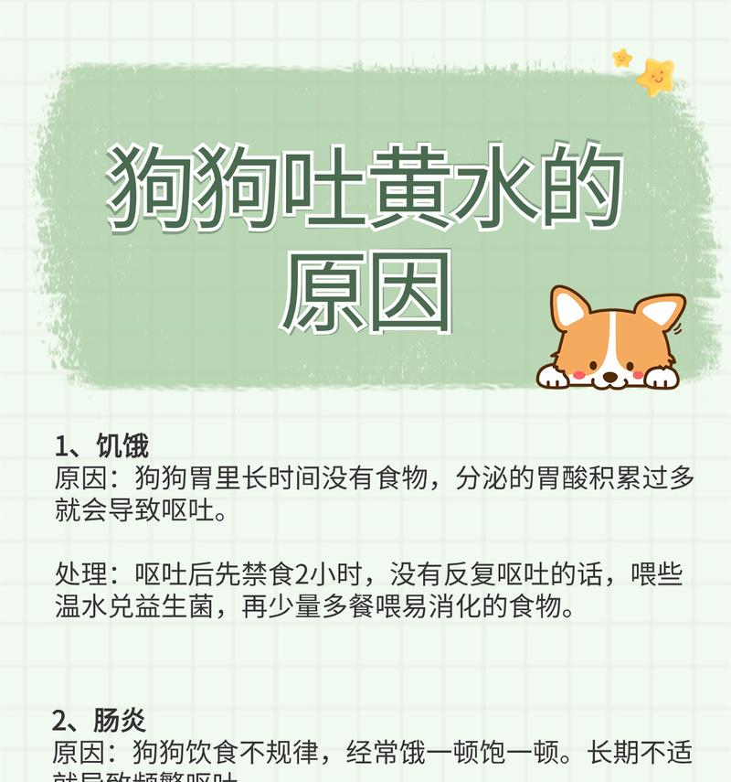 狗狗吐黄水可能预示着什么？