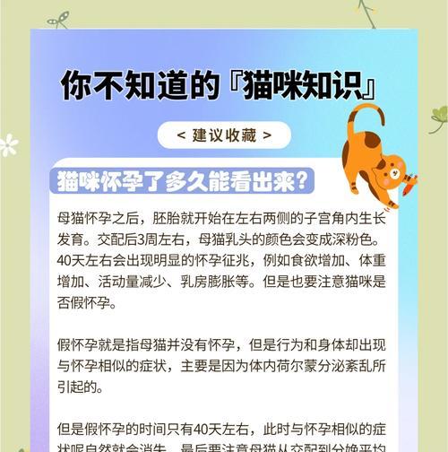 猫的孕期通常是多久？如何计算？