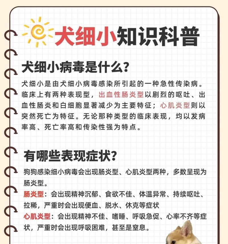 如何判断小狗是否患有细小病毒？有哪些症状和检测方法？