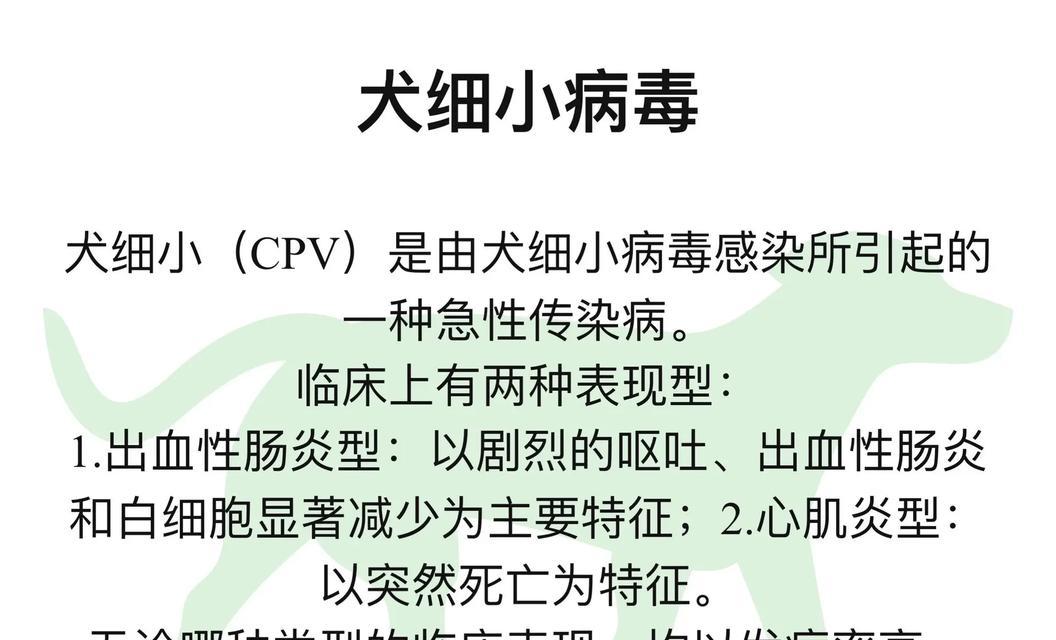 如何判断小狗是否患有细小病毒？有哪些症状和检测方法？