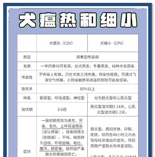 如何判断小狗是否患有细小病毒？有哪些症状和检测方法？