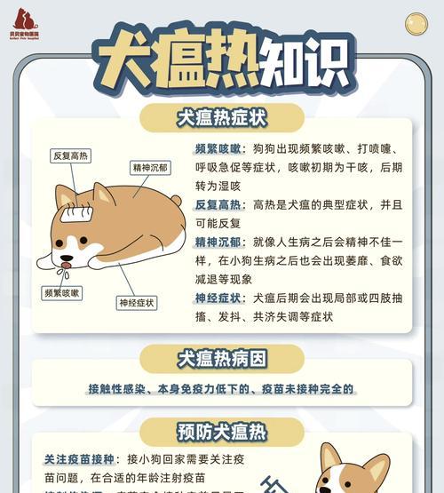 犬瘟热病毒如何杀灭？有效的预防和消毒方法是什么？