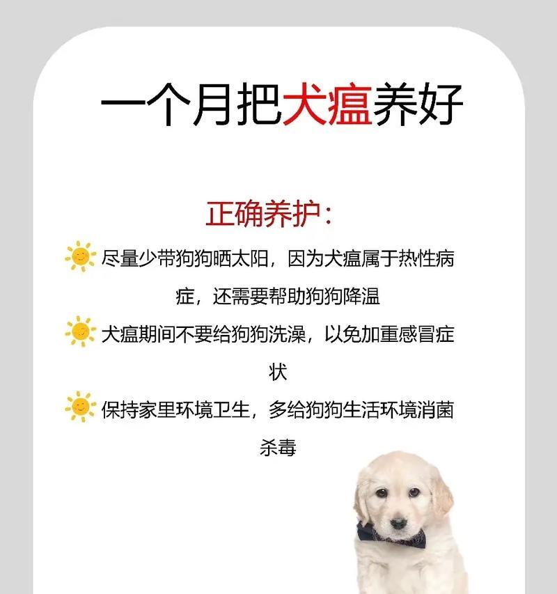 犬瘟热病毒如何杀灭？有效的预防和消毒方法是什么？
