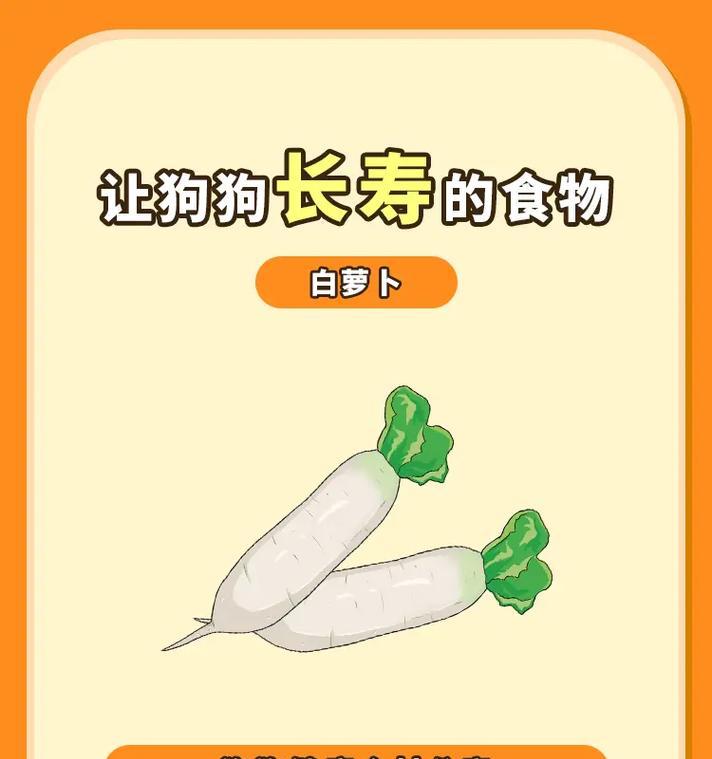 宠物狗可以吃的蔬菜有哪些？哪些蔬菜对狗狗有益？