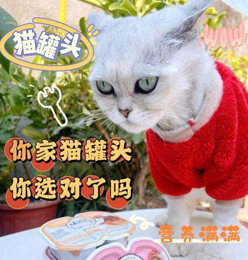 猫罐头常温保存多久安全？开封后多久需丢弃？